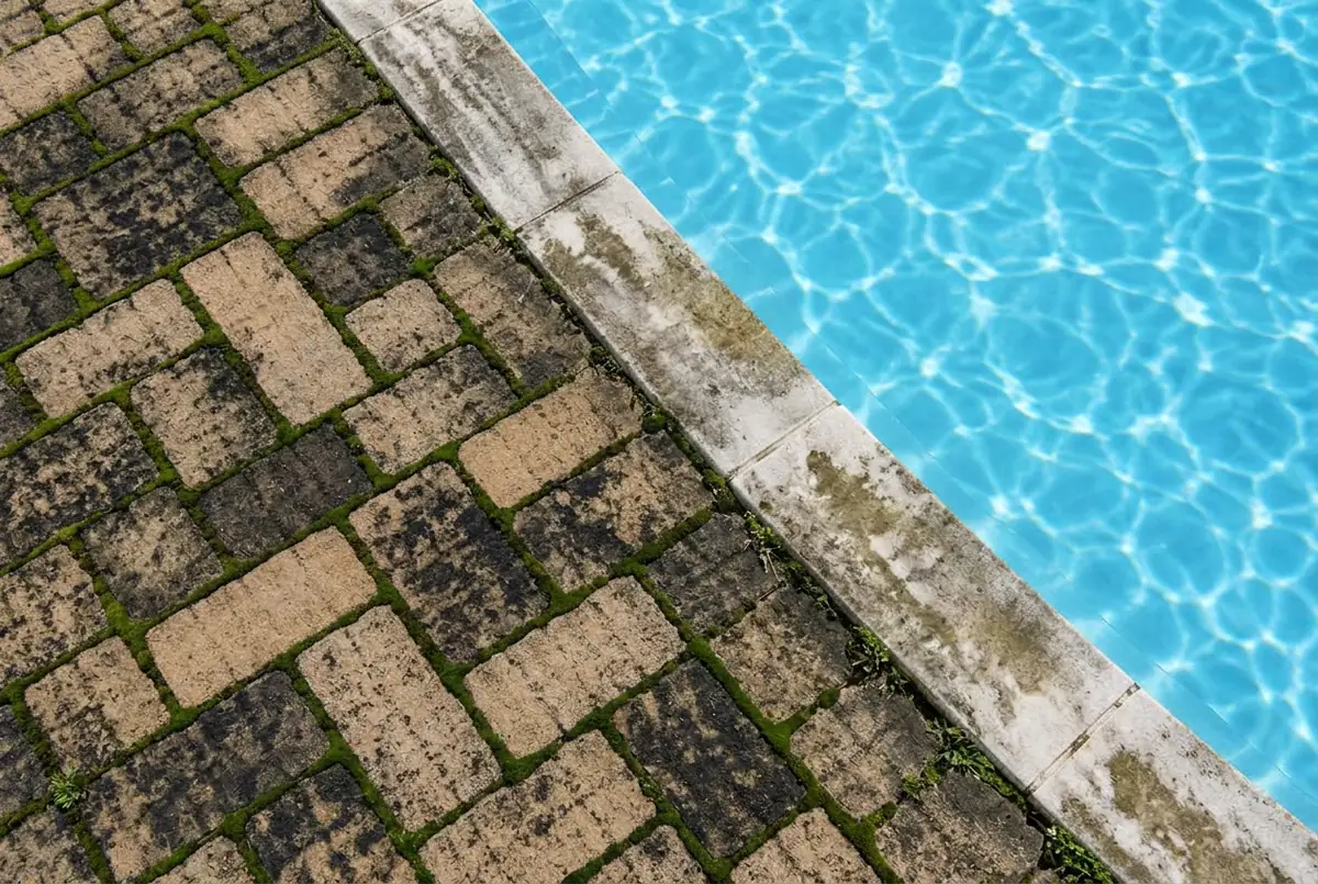 Pool pavers darkened by mildew before cleaning